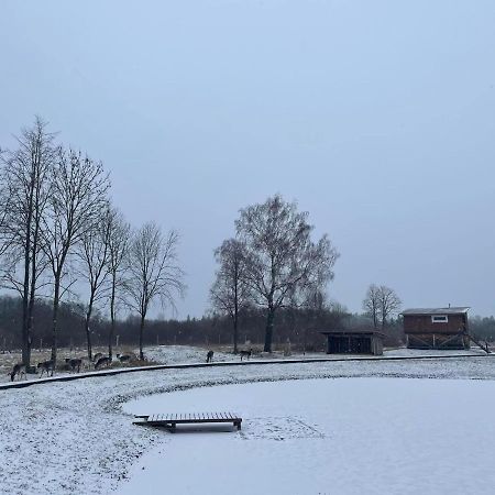 Kurkliai Arciau Gamtos Anyksciai 빌라 외부 사진